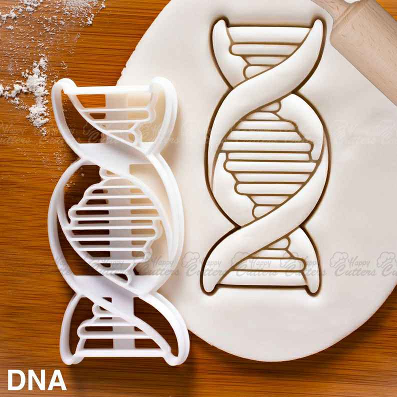 DNA cookie cutter | biscuit cutters cell cycle Deoxyribonucleic acid molecule genetics genetic Microbiology laboratory science chromosome,
                      science cookie cutters, dna cookie cutter, lab cookie cutter, anatomy cookie cutters, anatomical cookie cutter, periodic table cookie cutters, sitting elephant cookie cutter, pampered chef cookie cutters, pie slice cookie cutter, t shirt cookie cutter, lingerie cookie cutter, pickup truck cookie cutter, sloth cookie cutter, scottish terrier cookie cutter,
                      
