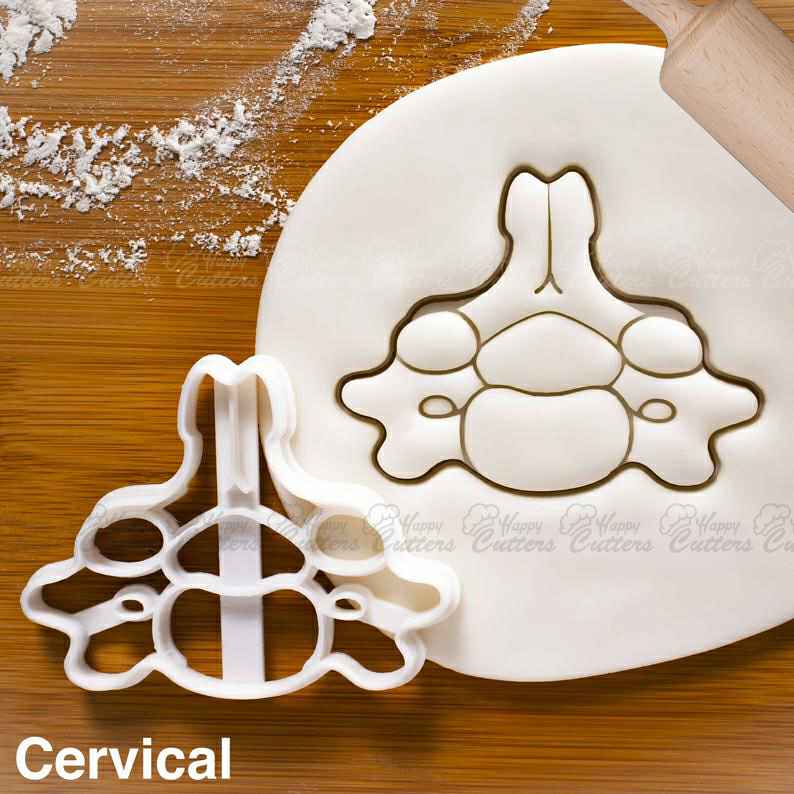 Cervical Vertebra cookie cutter - Medical Science Human Spine Anatomy themed Birthday Party,
                      medical cookie cutters, anatomical cookie cutter, anatomical heart cookie cutter, nurse cookie cutters, syringe cookie cutter, kidney cookie cutter, princess crown cookie cutter, crown shaped cookie cutter, 4 round cookie cutter, cookie cutter kids, chili pepper cookie cutter, dinosaur cookie cutters amazon, sea life cookie cutters, mini metal cookie cutters,
                      