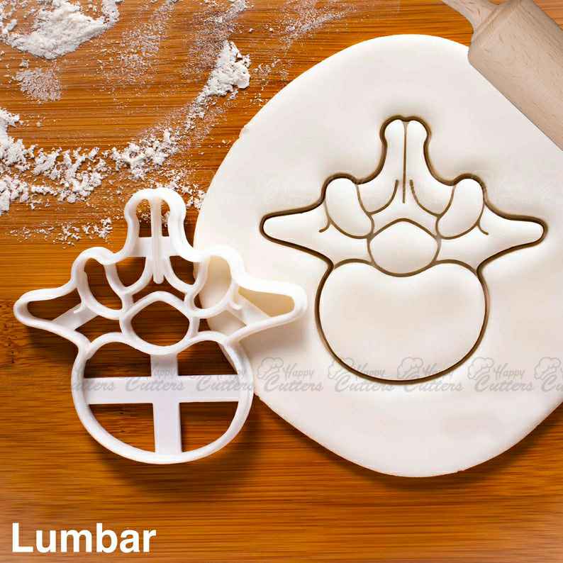 Lumbar Vertebra cookie cutter - Medical Science Human Spine Anatomy themed Birthday Party,
                      science cookie cutters, dna cookie cutter, lab cookie cutter, anatomy cookie cutters, anatomical cookie cutter, periodic table cookie cutters, bat cookie cutter, dragon egg cookie cutter, christmas truck cookie cutter, cookie cutters walmart, baby shaped cookie cutters, sweet sugarbelle products, love cookie cutter, geometric cookie cutters,
                      