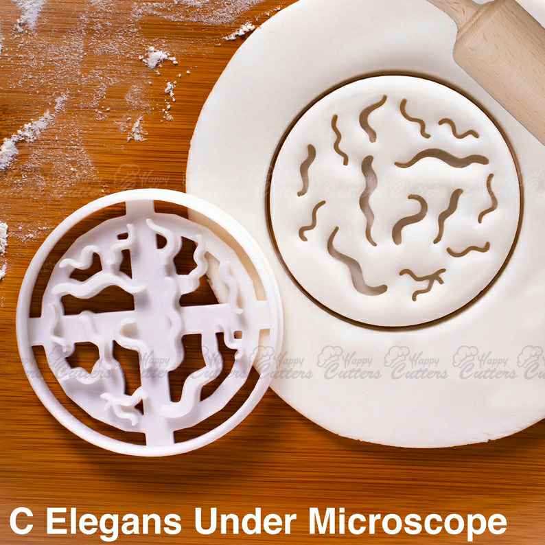 C. Elegans under Microscope cookie cutter |  biscuit cutters Caenorhabditis Nematode roundworm research biomedical laboratory,
                      medical cookie cutters, anatomical cookie cutter, anatomical heart cookie cutter, nurse cookie cutters, syringe cookie cutter, kidney cookie cutter, alpaca cookie cutter, mini cactus cookie cutter, cookie cat cookie cutter, ice cream cookie cutter, disney cars cookie cutters, aldi cookie cutters, winnie the pooh cookie cutter set, stainless steel christmas cookie cutters,
                      