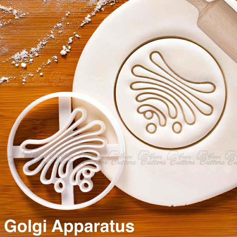 Golgi Apparatus cookie cutter - Human Cell Organelle for Science themed Party,
                      science cookie cutters, dna cookie cutter, lab cookie cutter, anatomy cookie cutters, anatomical cookie cutter, periodic table cookie cutters, musical note cutters, metal alphabet cookie cutters, hockey cookie cutters, pampered chef mini cookie cutters, frame cookie cutter, champagne glass cookie cutter, lego man cookie cutter, oscar cookie cutter,
                      