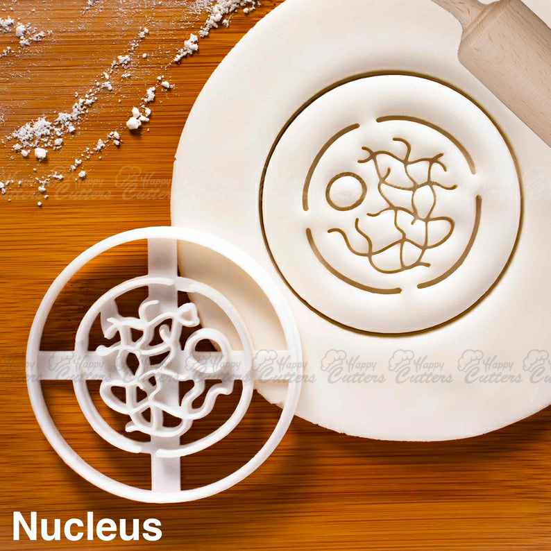 Nucleus cookie cutter - Human Cell Organelle for Science themed Party,
                      science cookie cutters, dna cookie cutter, lab cookie cutter, anatomy cookie cutters, anatomical cookie cutter, periodic table cookie cutters, nerdy cookie cutters, cookie cat cutter, emoji cookie cutters, easter egg cutter, snow globe cookie cutter michaels, mickey mouse head cookie cutter, temple cookie cutter, sweet creations 3d mini gingerbread house cookie cutter kit,
                      