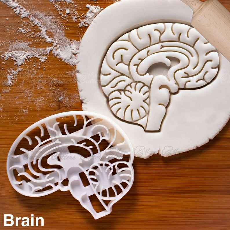 Anatomical Brain cookie cutter | Heart cookies cutters | biscuit cutter | Gifts for medical student science students | one of a kind | ooak,
                      medical cookie cutters, anatomical cookie cutter, anatomical heart cookie cutter, nurse cookie cutters, syringe cookie cutter, kidney cookie cutter, mermaid cookie cutter set, bunny cookie cutter, silicone cookie stamps, 4 inch round cookie cutter, giant gingerbread man cutter, the cookie cutter company, baby footprint cookie cutter, mini cookie cutter set,
                      