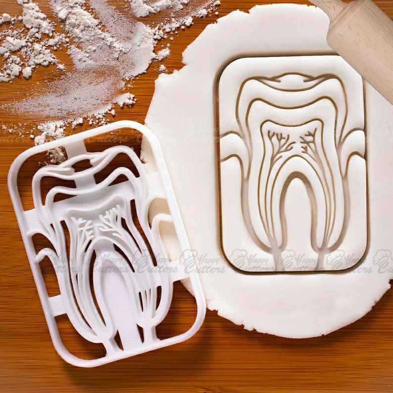 Tooth Anatomy cookie cutter |  Dental clinic molar teeth biscuit cutters Gifts for Dentistry student science students cookies,
                      science cookie cutters, dna cookie cutter, lab cookie cutter, anatomy cookie cutters, anatomical cookie cutter, periodic table cookie cutters, circle cookie cutter, dog treat cookie cutters, steampunk cookie cutters, aeroplane cookie cutter, wilton cookie tree cutter kit, animal cookie cutters, noah's ark cookie cutters, bowling pin cookie cutter,
                      